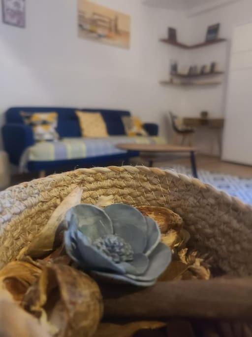 Appartement T2 Avec Clim Et Wifi, A 50 M De La Plage Collioure Eksteriør bilde